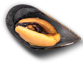 top_oyster Top Oyster