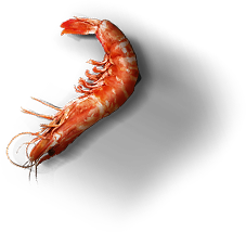 top_shrimp Top Shrimp