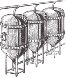 Fermentation et maturation